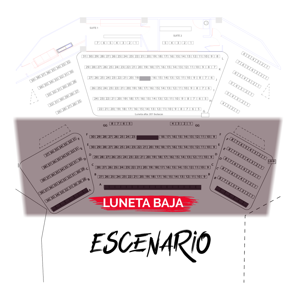 MASTER CLASS TRUSS PROFESSIONAL | LUNETA BAJA