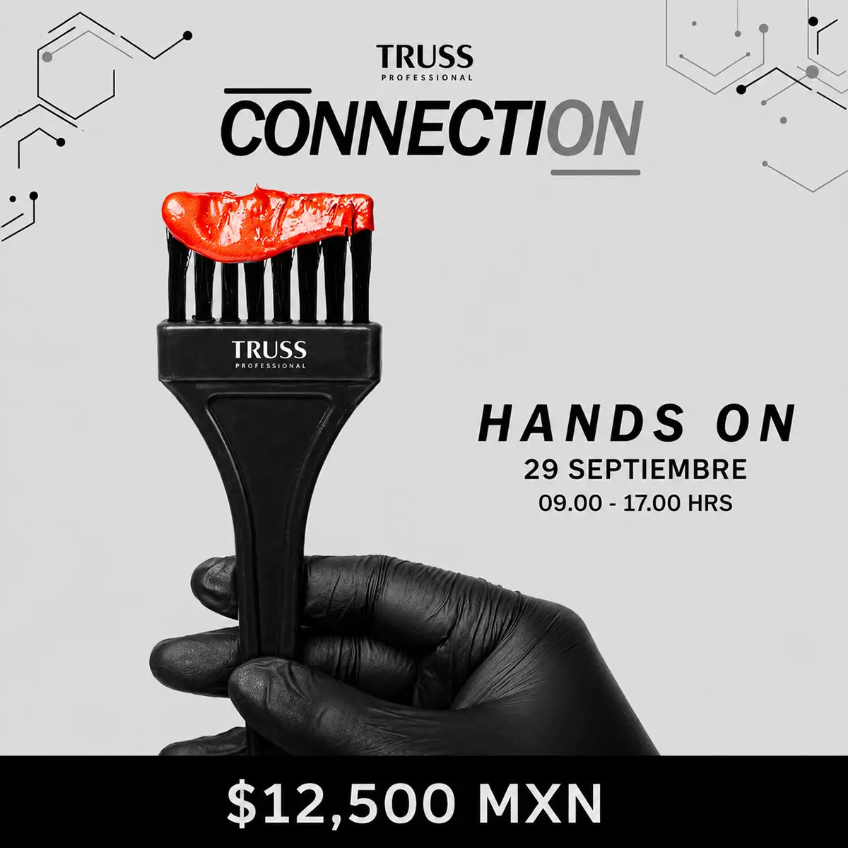 Boleto TRUSS Connection Hands On