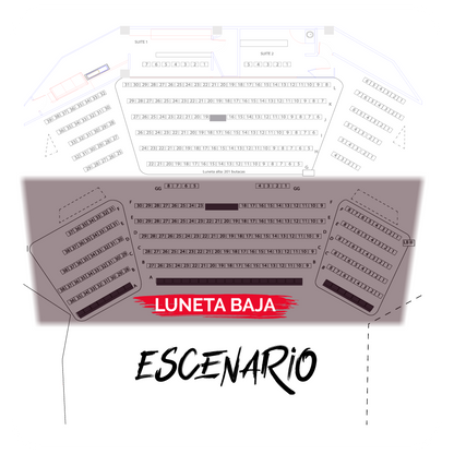 MASTER CLASS TRUSS PROFESSIONAL | LUNETA BAJA