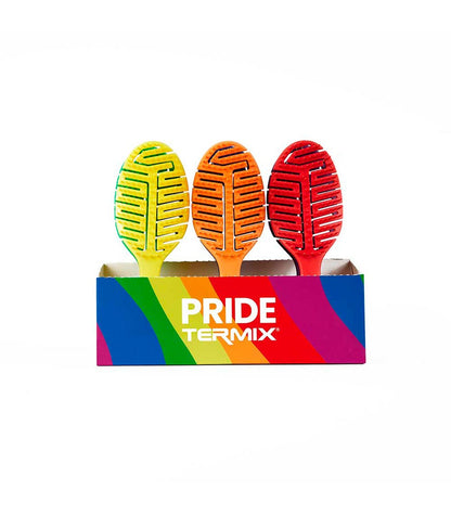 PACK DE CEPILLOS DETANGLING TERMIX PRIDE 6 UDS